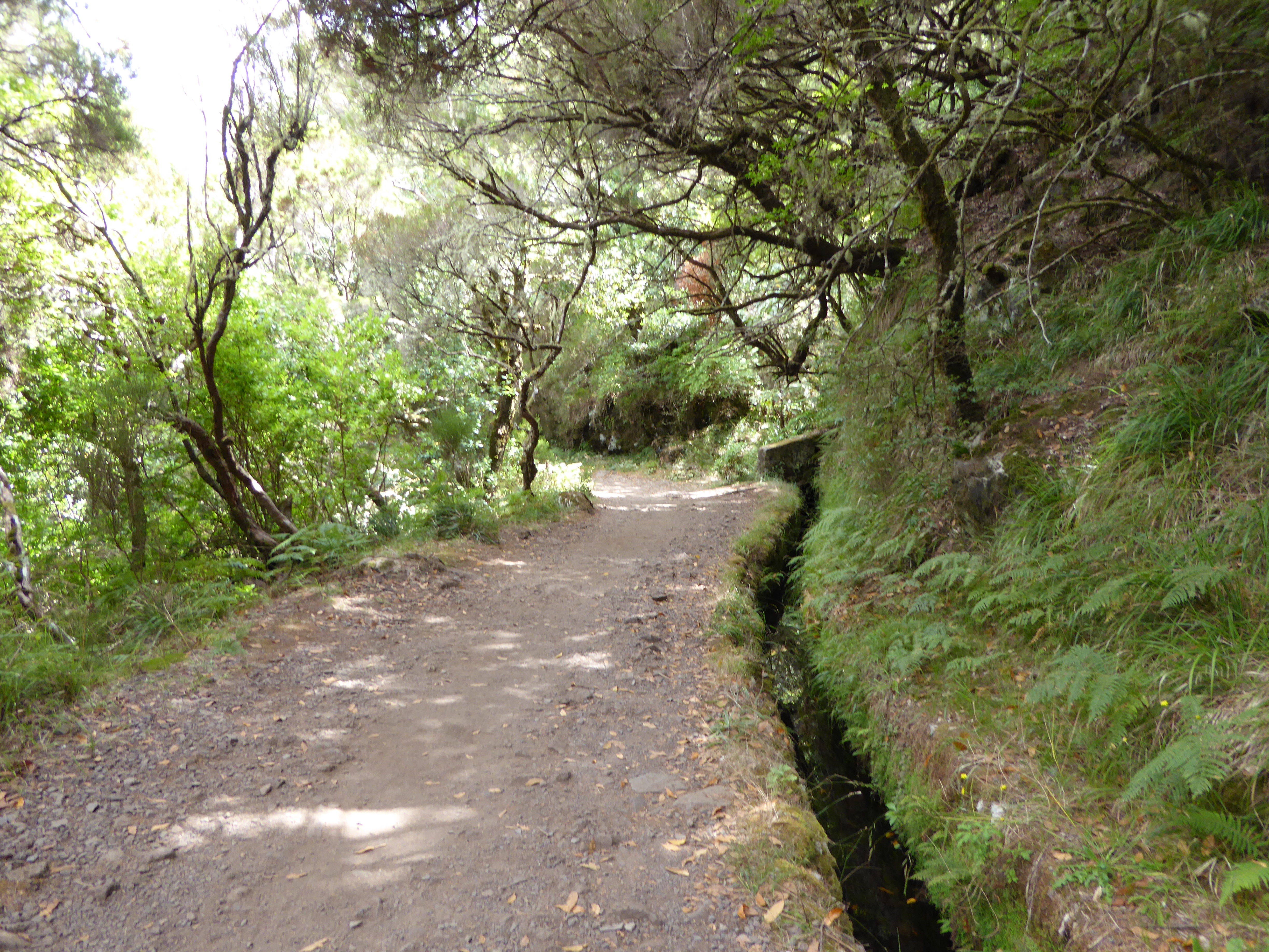 Urlaub Madeira – Tag 4 –  Wandern Rabaçal/Risco/25 Fontes
